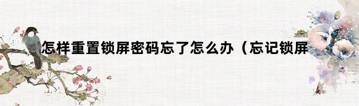 怎样重置锁屏密码忘了怎么办（忘记锁屏密码怎么重新设置密码）