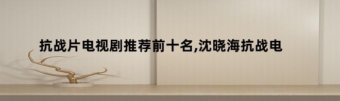 抗战片电视剧推荐前十名,沈晓海抗战电视剧大全