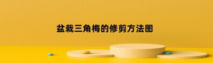 盆栽三角梅的修剪方法图