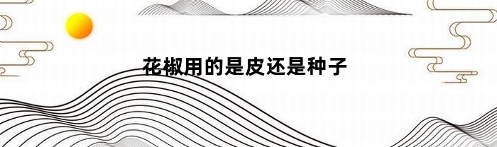 花椒用的是皮还是种子