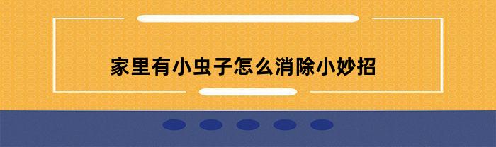 家里有小虫子怎么消除小妙招