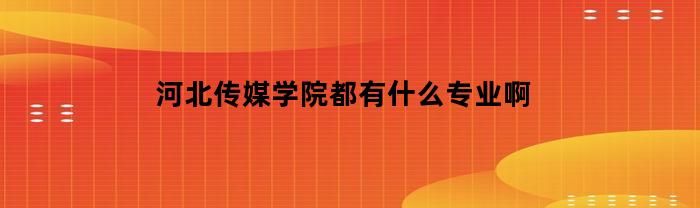 河北传媒学院都有什么专业啊