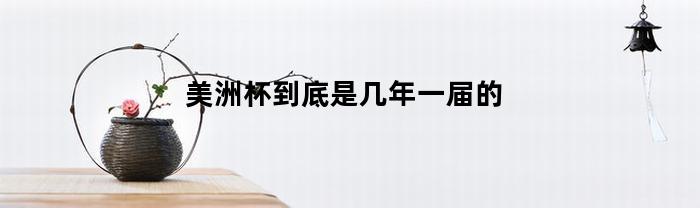 美洲杯到底是几年一届的