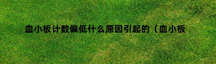 血小板计数偏低什么原因引起的（血小板计数偏高大血小板比率偏低的原因）