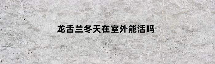 龙舌兰冬天在室外能活吗