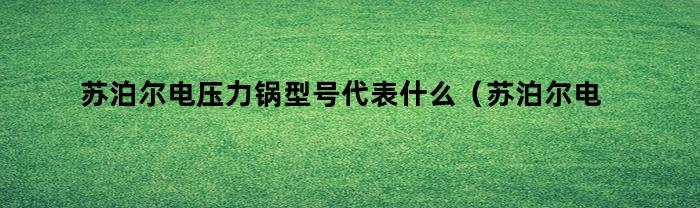 苏泊尔电压力锅型号代表什么（苏泊尔电压力锅编号解读）