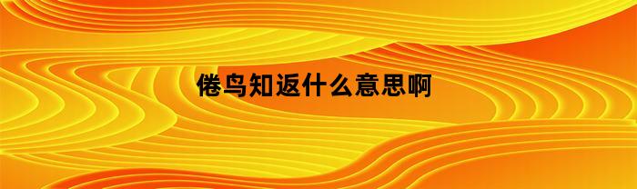 倦鸟知返什么意思啊