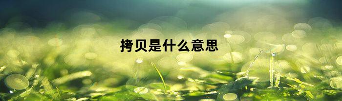 拷贝是什么意思