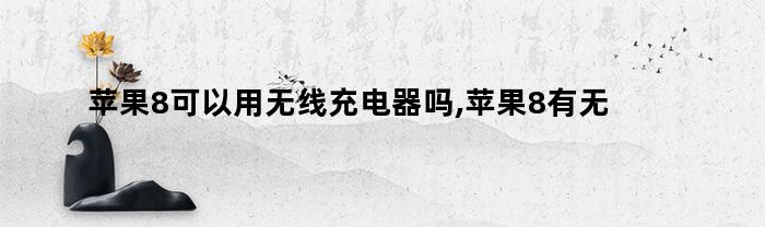 苹果8可以用无线充电器吗,苹果8有无线充电功能吗百度（苹果8可以使用无线充电器吗）