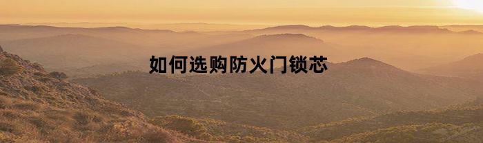 如何选购防火门锁芯