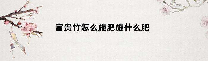 富贵竹怎么施肥施什么肥