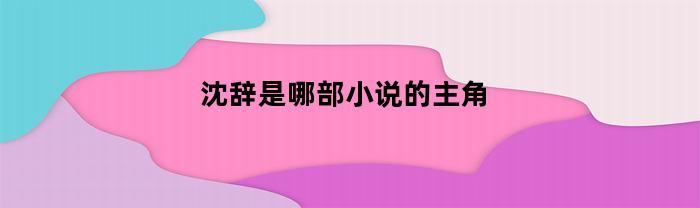 沈辞是哪部小说的主角