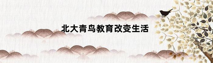 北大青鸟教育改变生活