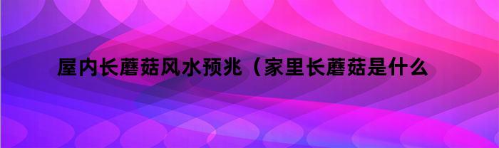 屋内长蘑菇风水预兆(家里长蘑菇是什么预兆)