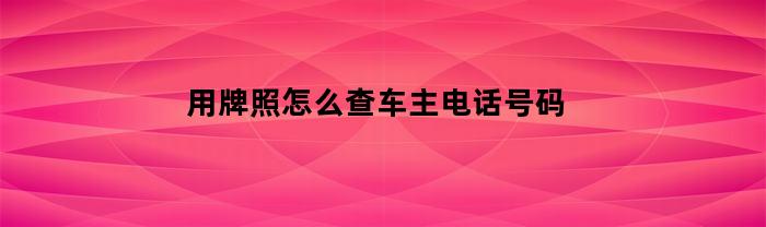 用牌照怎么查车主电话号码