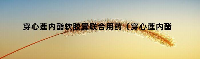 穿心莲内酯软胶囊联合用药(穿心莲内酯软胶囊作用)