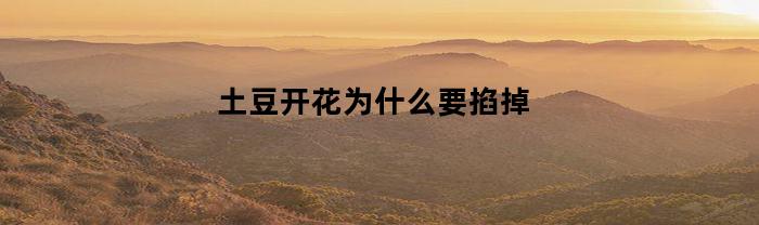 土豆开花为什么要掐掉