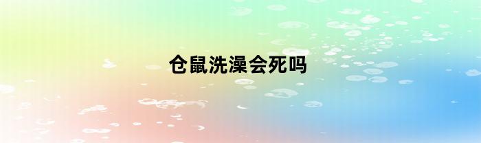 仓鼠洗澡会死吗