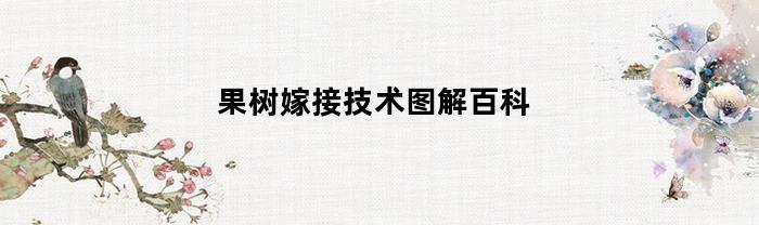 果树嫁接技术图解百科