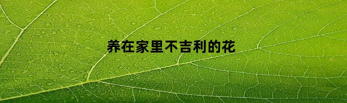 养在家里不吉利的花