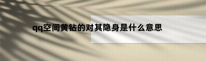 qq空间黄钻的对其隐身是什么意思