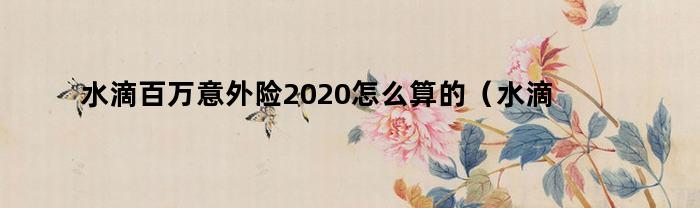 水滴百万意外险2020怎么算的（水滴百万意外险2021）