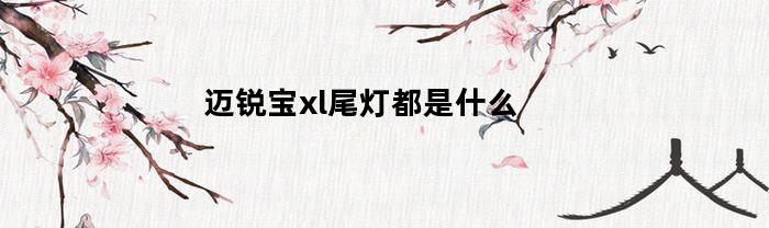 迈锐宝xl尾灯都是什么