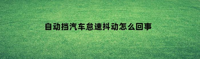 自动挡汽车怠速抖动怎么回事