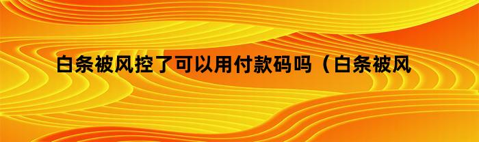 白条被风控了可以用付款码吗（白条被风控了可以用付款码吗安全吗）