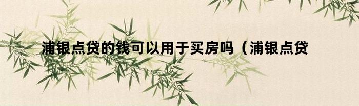 浦银点贷的钱可以用于买房吗（浦银点贷的钱可以用于买房吗安全吗）