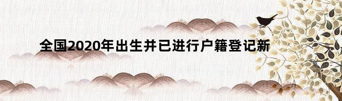 全国2020年出生并已进行户籍登记新生儿共1003.5万