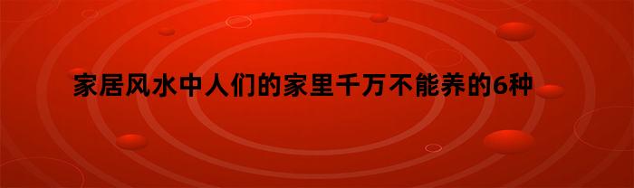 家居风水中人们的家里千万不能养的6种花
