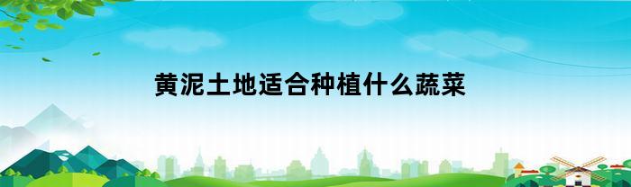 黄泥土地适合种植什么蔬菜
