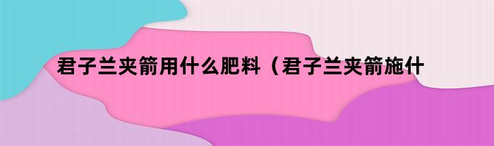 君子兰夹箭肥料选择指南