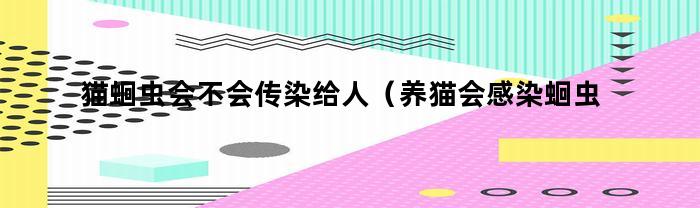 猫蛔虫会不会传染给人(养猫会感染蛔虫吗)