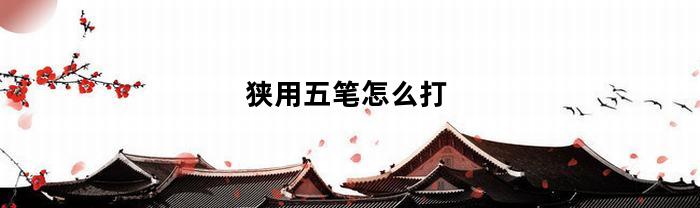 狭用五笔怎么打