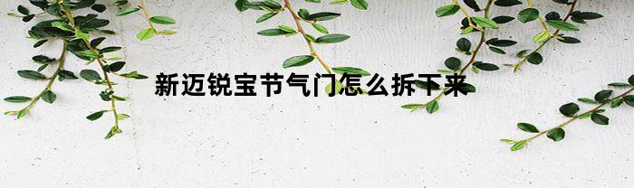 新迈锐宝节气门怎么拆下来