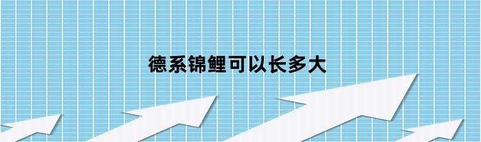 德系锦鲤可以长多大