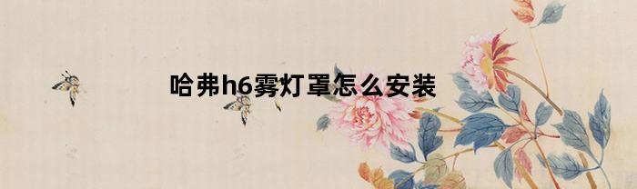 哈弗h6雾灯罩怎么安装