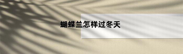 蝴蝶兰怎样过冬天