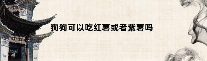 狗狗可以吃红薯或者紫薯吗