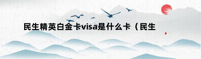 民生精英白金卡visa是什么卡（民生精英白金卡和visa精英白金卡）