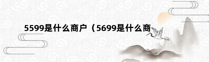 5599是什么商户(5699是什么商户)