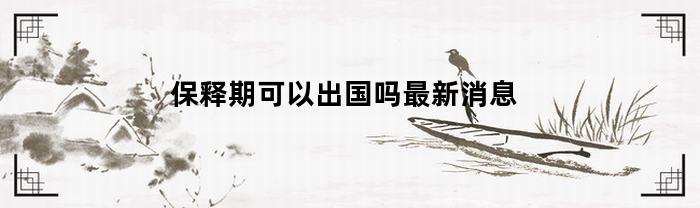 保释期可以出国吗最新消息