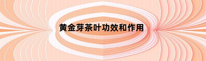 黄金芽茶叶功效和作用