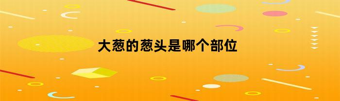 大葱的葱头是哪个部位