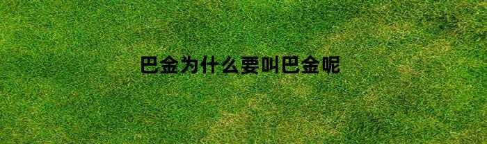 巴金为什么要叫巴金呢