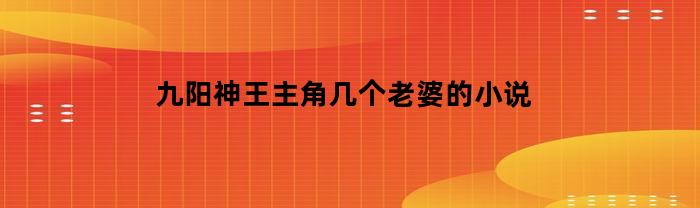 九阳神王主角几个老婆的小说