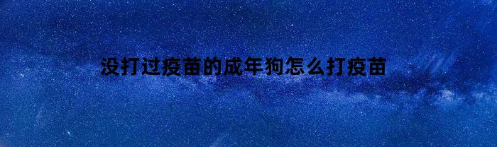 没打过疫苗的成年狗怎么打疫苗