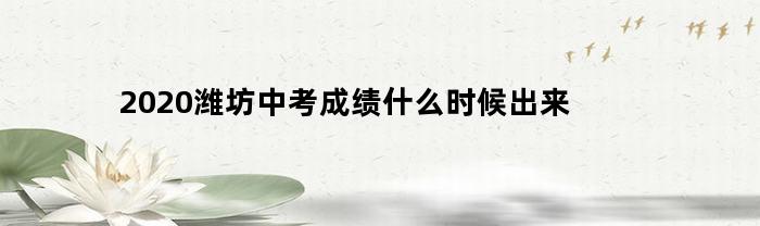 2020年潍坊中考成绩发布时间是？